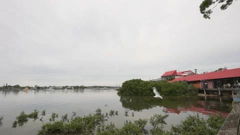 MERIMBULA LAKE 動画素材 163223648