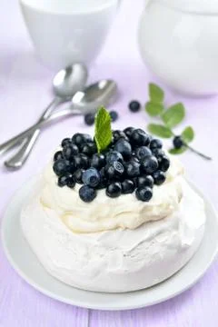 Meringue cake with blueberry Stock Photos