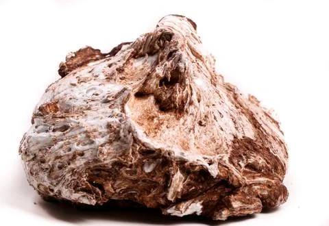 Meringue Stock Photos