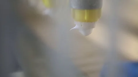 Meringue production line Stock Footage 74105332