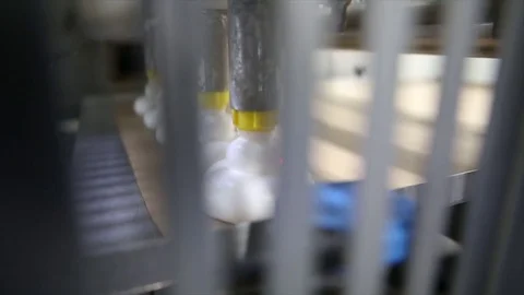 Meringue production line Stock Footage 74105484