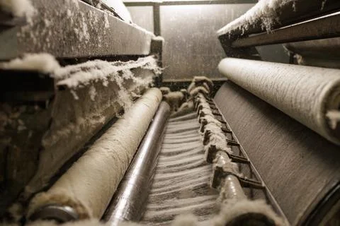 Merino wool fiber processing on textile factory conveyor machinery Stock Photos
