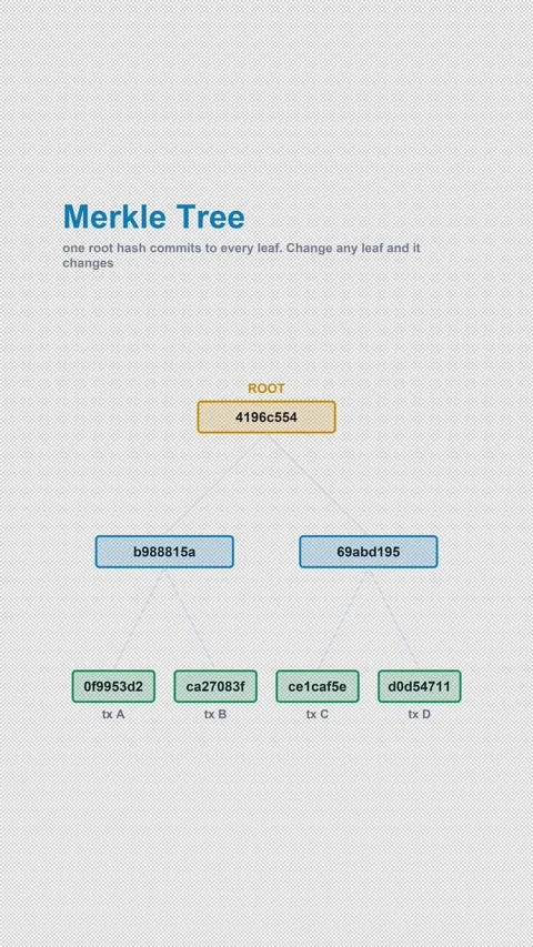 Merkle Tree Labeled Cryptography Diagram Animation Alpha 4K Vertical 9x16 Light Vídeo Stock 339645494