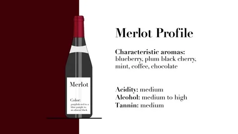 Merlot animation Video stock 134398659
