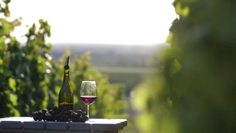Merlot on the Table with some grapes and a bottle and glass Stock Footage 249989015