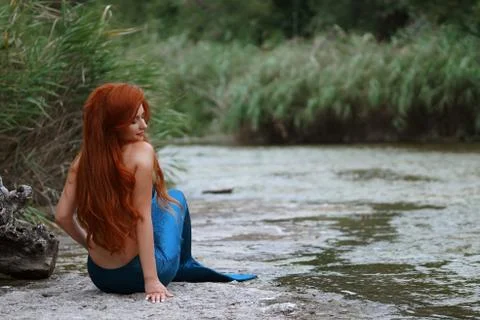 Mermaid Stock Photos