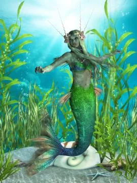 Mermaid realms Stock Illustration