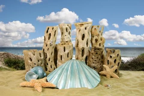 Mermaid shell ocean background Stock Photos