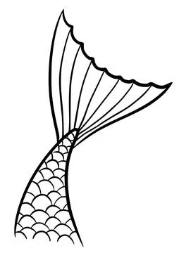 Mermaid tail cute vector black contour marine tale girl element Stock Illustration