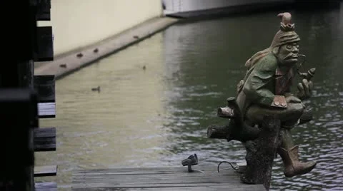 Merman Stock Footage 11486483