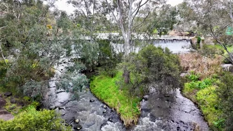 Merri Creek flowing through Coburg Lake Reserve in Melbourne, Australia Vídeos de archivo 316797053