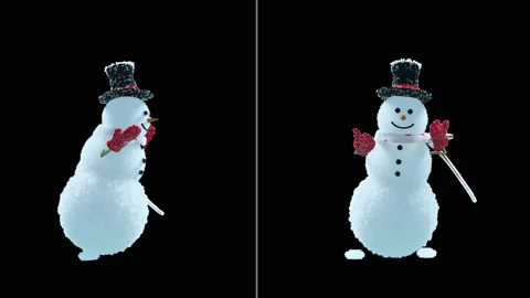 Merry christmas and happy new year 3d rendering Snowman, with Alpha matte. Stock Footage 137971553