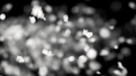 Merry Christmas animation Stock Footage 247974245