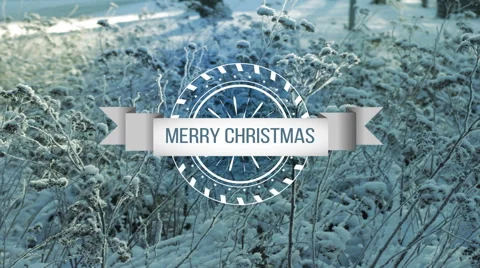 Merry Christmas. Stock Footage 45424283