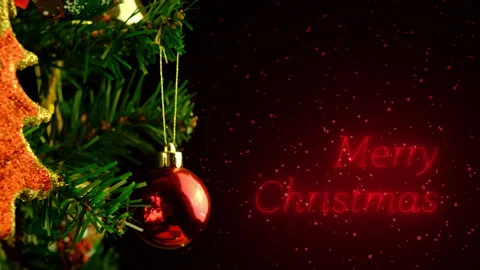 Merry christmas 動画素材 141731969