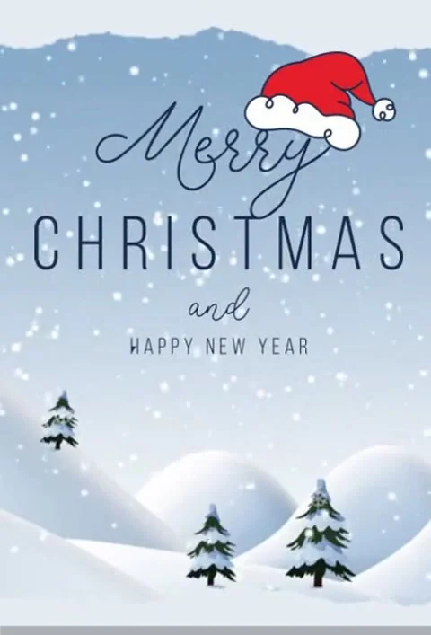 Merry Christmas Stock Footage 166734151