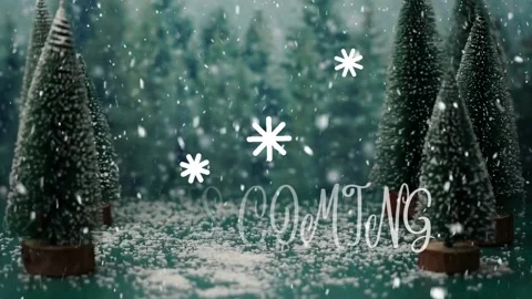 Merry Christmas Stock Footage 220524239