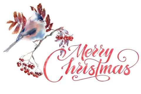 Merry Christmas greeting card hand drawing watercolor with bird Stock Illustration