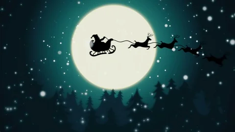 Merry Christmas Moonlight On Forest Stock Footage 98876604