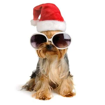 Merry Christmas Stock Photos