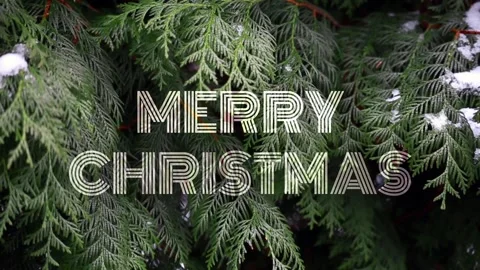 "Merry Christmas" Text against Blurred Christmas Tree Branches Background Stock Footage 115279953