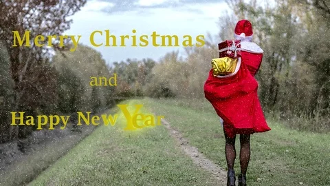 Merry Christmas text Stock Footage 116264242