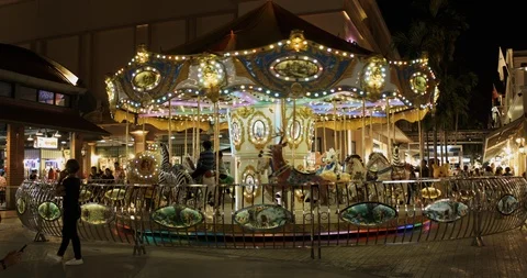 Merry-go-round Video stock 88323601