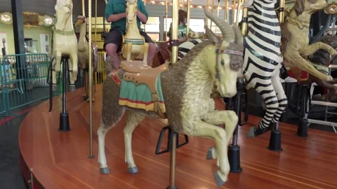 Merry-go-Round Stock Footage 201700273