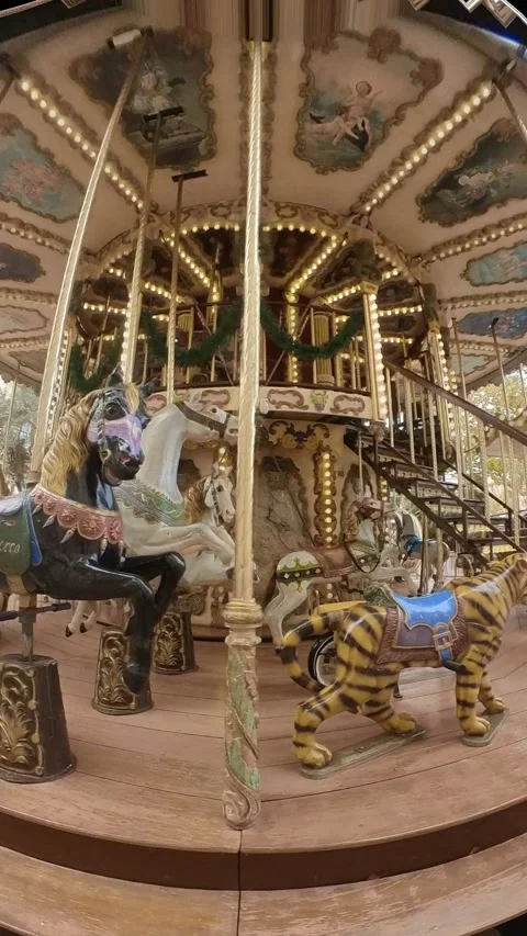 Merry Go Round Vertical View 9 x 16 Stock Footage 166743562