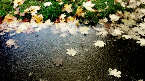 Merry rain dripping into a puddle of cold autumn Stock Footage 32303179
