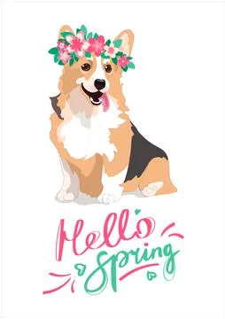 Merry spring poster with welsh corgi in a wreath of flowers. A contented dog Stock Illustration
