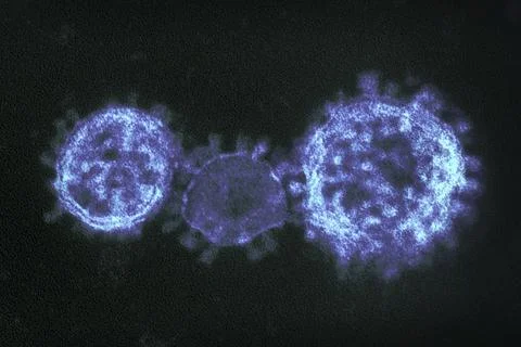 MERS Coronavirus Particles Illustrazione stock