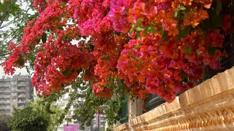 Mersin, Turkey Stock Footage 199330823