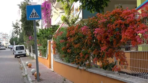Mersin, Turkey Stock Footage 200903470
