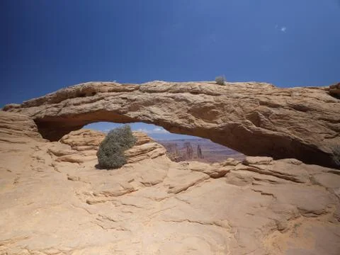 Mesa Arch Stock Photos