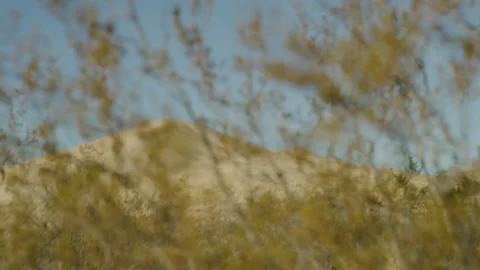 Mesa Arch Wide 2 Stock-Footage 190127800