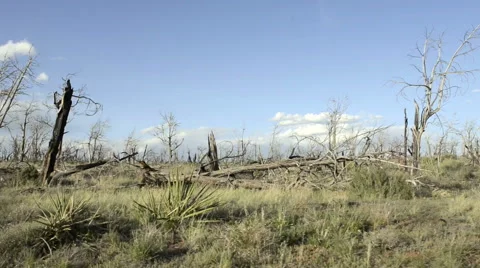 Mesa Verde fire drive by high speed-POV-N8-HD P-1816 Stock Footage 40269186