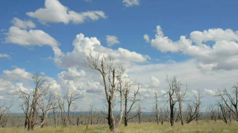 Mesa Verde Timelapse Stock-Footage 858002