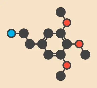 Mescaline peyote psychedelic molecule Stock Illustration