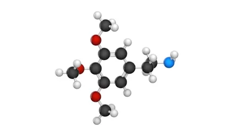Mescaline. Seamless loop. White background Stock Footage 154418144