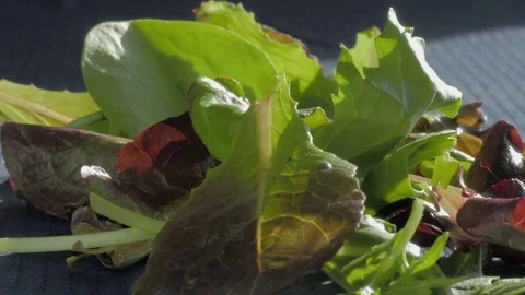 Mesclun Lettuce Leafs Falls onto a Pile of Spring Mix Stock Footage 71820606