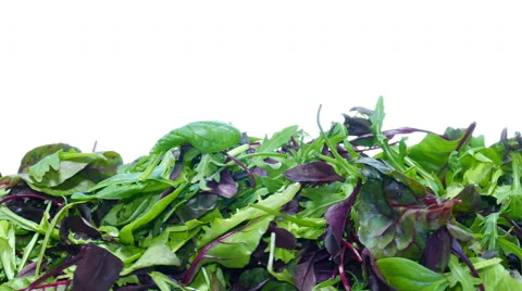 Mesclun mix salad 库存影片 47826723