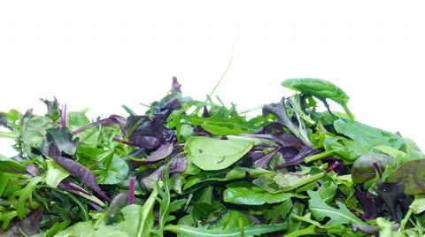 Mesclun mix salad Stock Footage 47826857