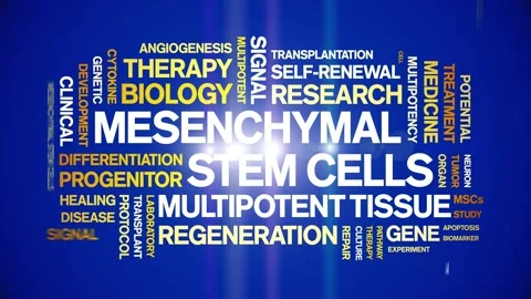 Mesenchymal Stem Cells animated word cloud,animation typography seamless loop. Stock Footage 327595209