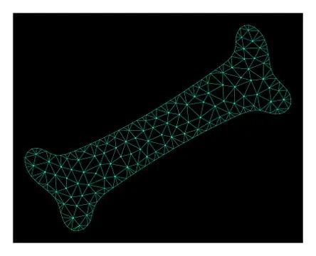 Mesh Bone in Polygonal Wire Frame Vector Style Stock Illustration