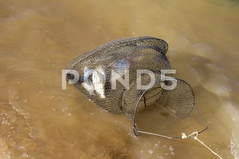 Mesh cage with a fish in water Stock Photos