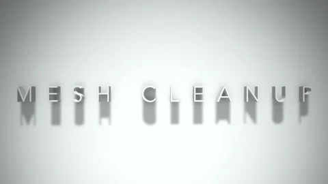 Mesh cleanup 3D title animation white text on a white background Stock Footage 298897988