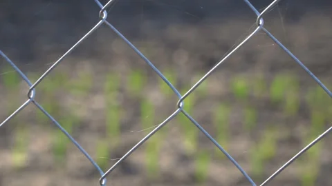 Mesh fence close up Stock Footage 89331199