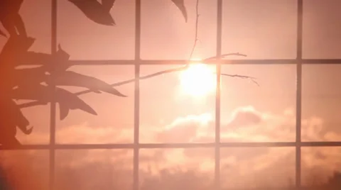 Mesh fence, sunset Stock Footage 38678088