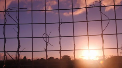 Mesh fence, sunset - Tracking 動画素材 38697638
